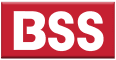 bss hair